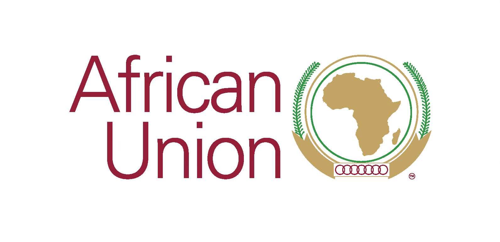 Is the African Union Fit for Purpose?